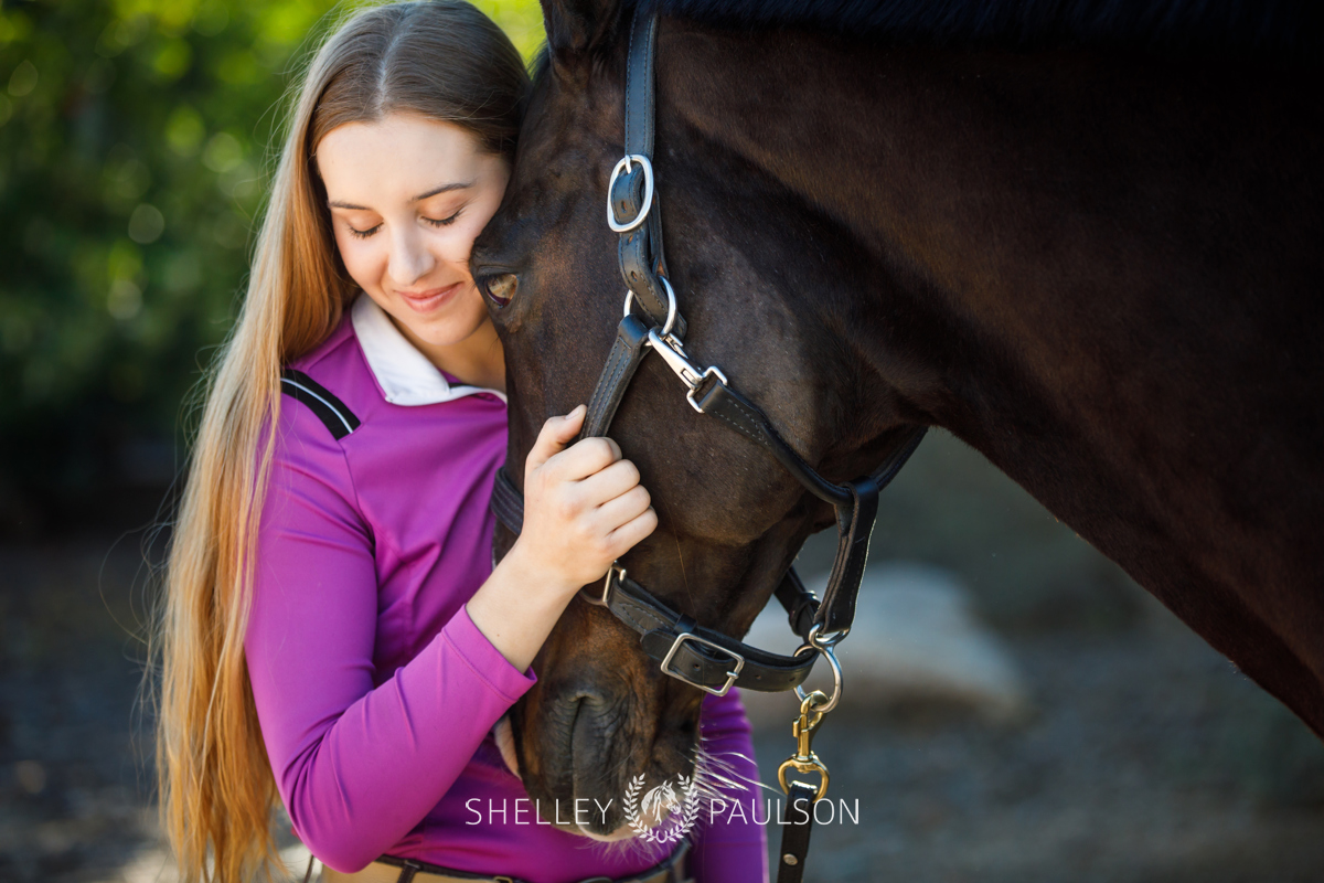 Commercial Equine Photographer