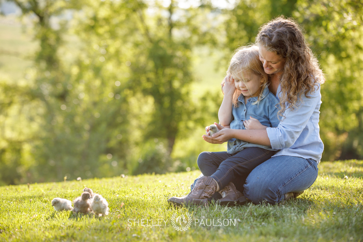 Equestrian Brand Photography