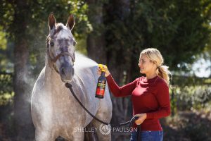 Commercial Equine Photographer