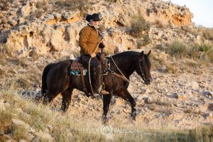 Commercial Equine Photographer