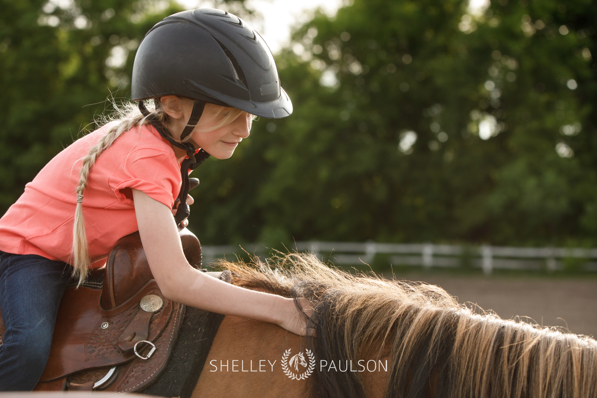 Equestrian Brand Photography