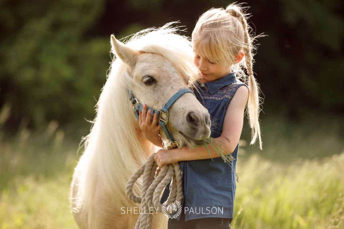 Equestrian Brand Photography