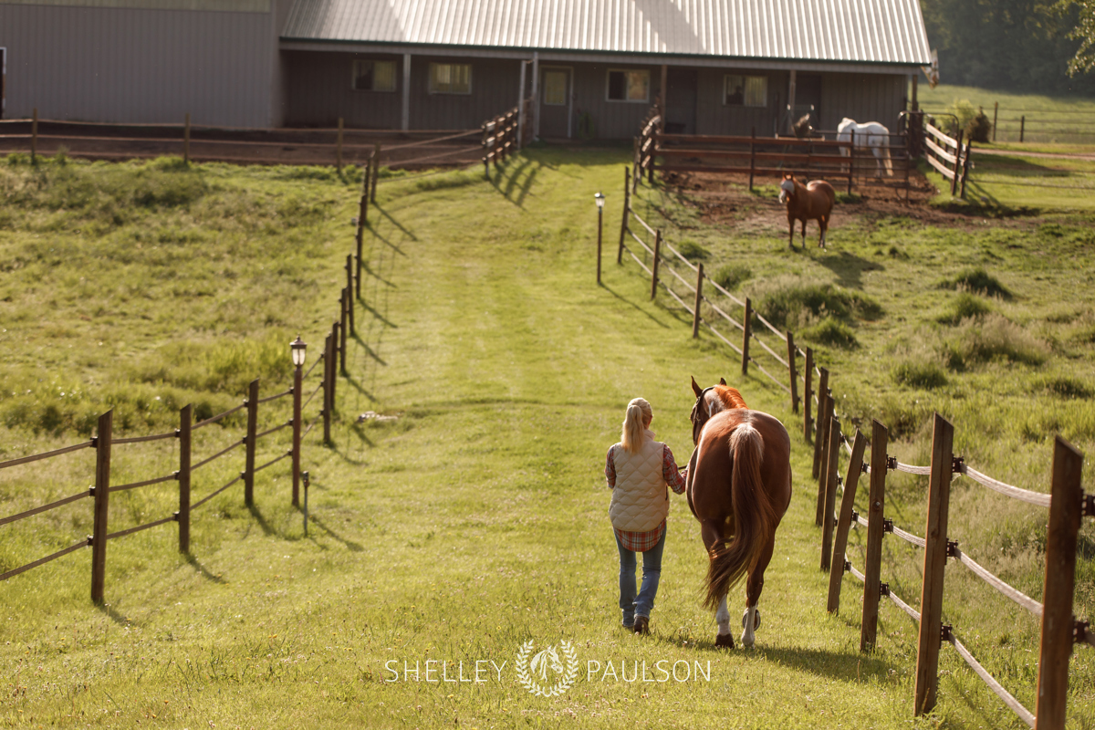 Equestrian Brand Photography