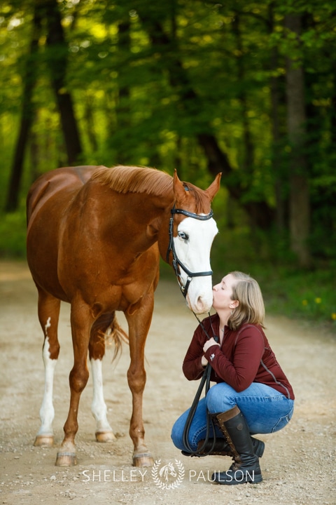 Minnesota Equine Portrait Photographer