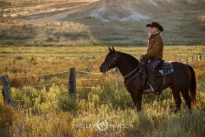 Commercial Equine Photographer