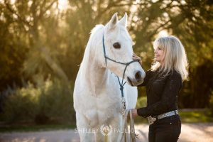 Commercial Equine Photographer
