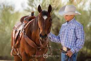 Commercial Equine Photographer