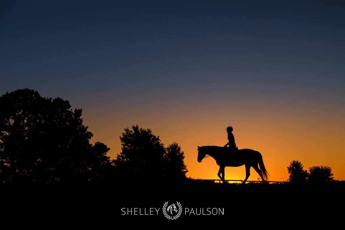 Equestrian Brand Photography