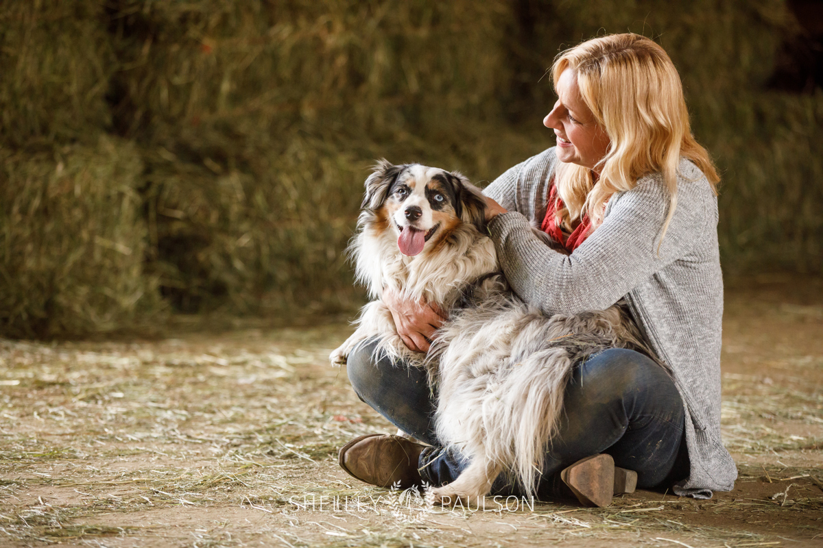 Equestrian Brand Photography