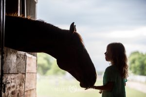 Equestrian Brand Photography