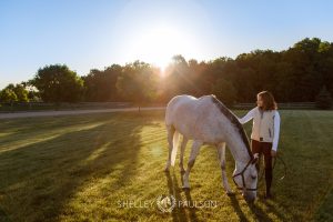 Equestrian Brand Photography