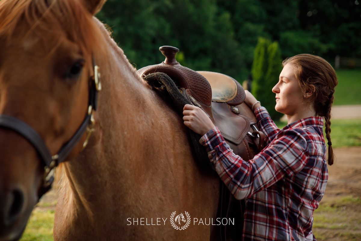 Equestrian Brand Photography