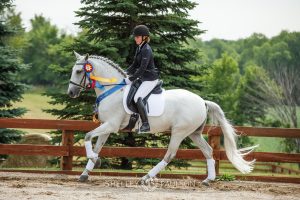 Commercial Equine Photographer