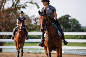 Commercial Equine Photographer