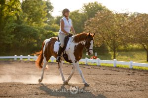 Commercial Equine Photographer