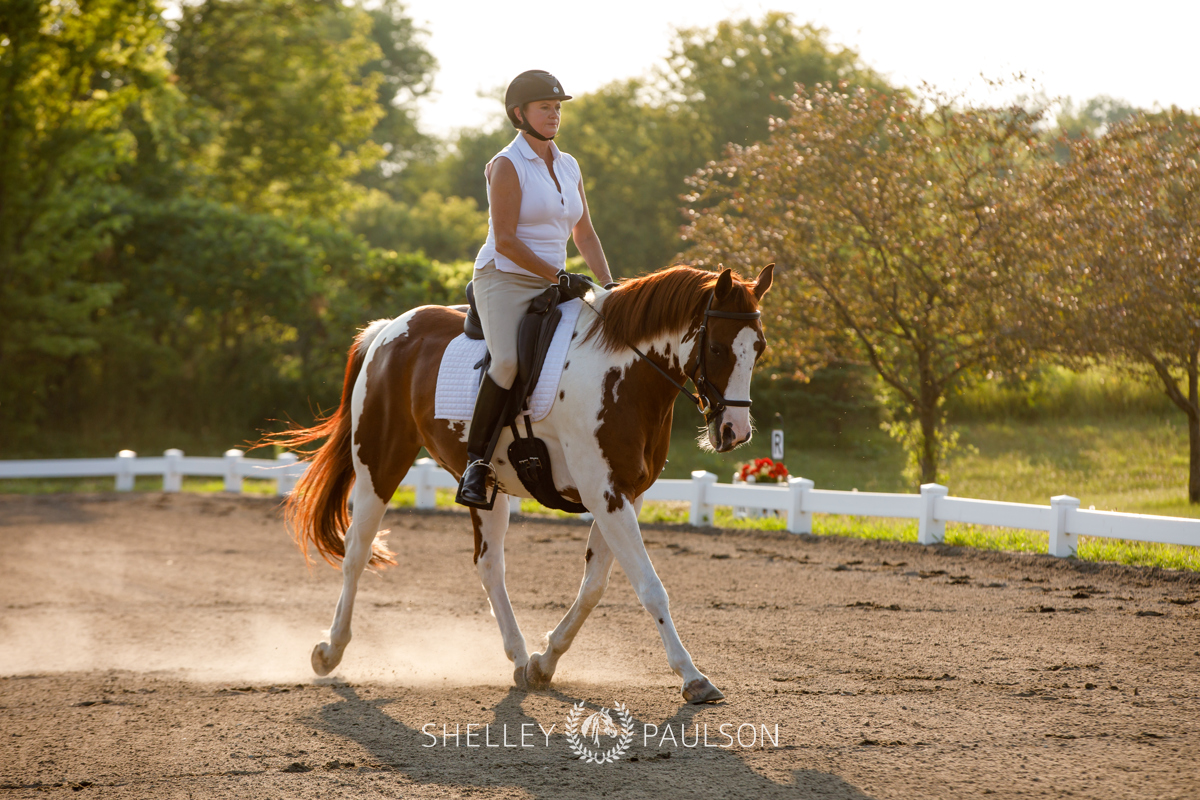 Commercial Equine Photographer