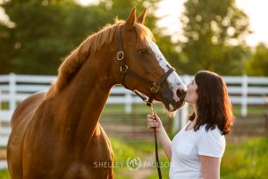 Commercial Equine Photographer