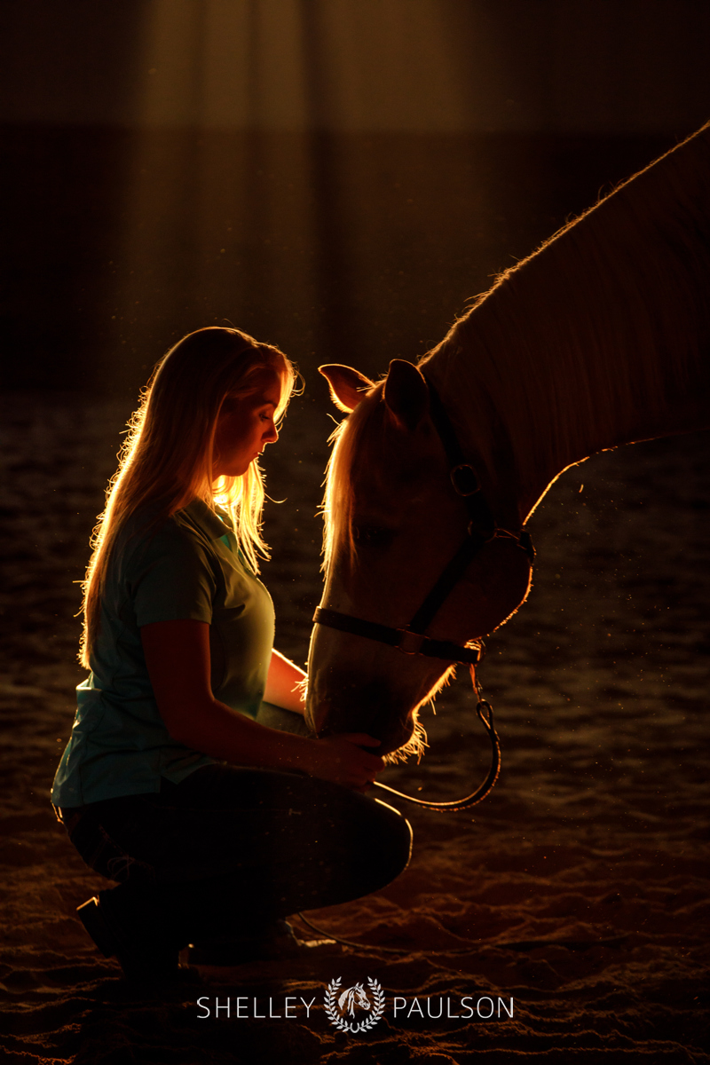 Commercial Equine Photographer