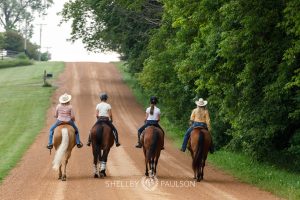 Commercial Equine Photographer