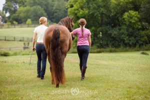 Commercial Equine Photographer