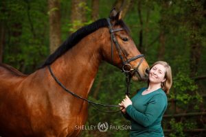 Minnesota Equine Portrait Photographer