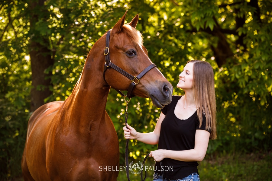 Minnesota Equine Portrait Photographer