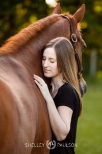 Minnesota Equine Portrait Photographer