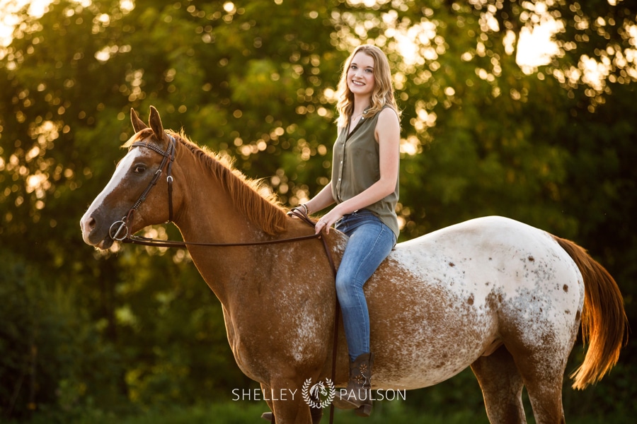 Minnesota Equine Portrait Photographer