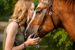 Minnesota Equine Portrait Photographer