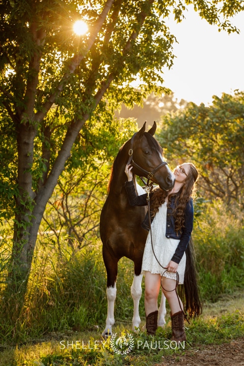 Minnesota Equine Portrait Photographer