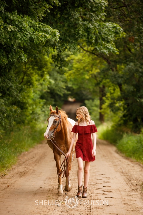 Minnesota Equine Portrait Photographer