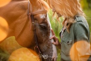 Minnesota Equine Portrait Photographer