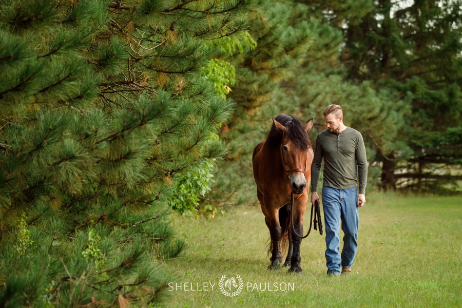 Minnesota Equine Portrait Photographer