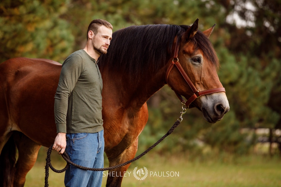 Minnesota Equine Portrait Photographer