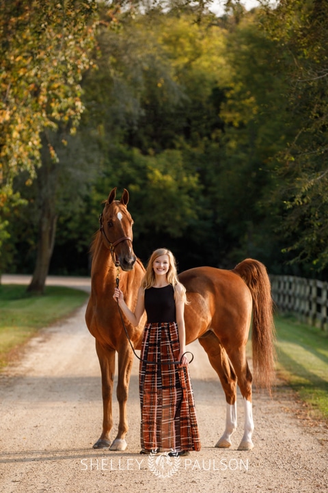 Minnesota Equine Portrait Photographer