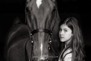 Minnesota Equine Portrait Photographer