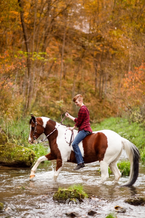 Minnesota Equine Portrait Photographer