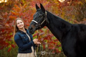 Minnesota Equine Portrait Photographer