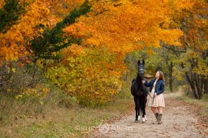 Minnesota Equine Portrait Photographer