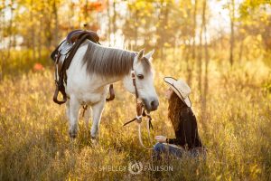 Minnesota Equine Portrait Photographer