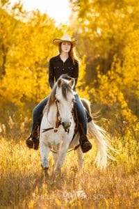 Minnesota Equine Portrait Photographer