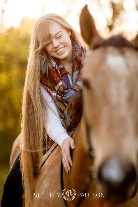 Minnesota Equine Portrait Photographer