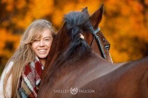 Minnesota Equine Portrait Photographer