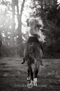 Minnesota Equine Portrait Photographer