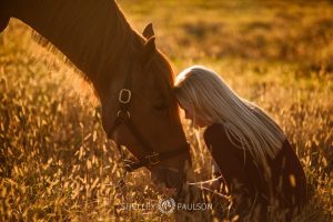 Minnesota Equine Portrait Photographer