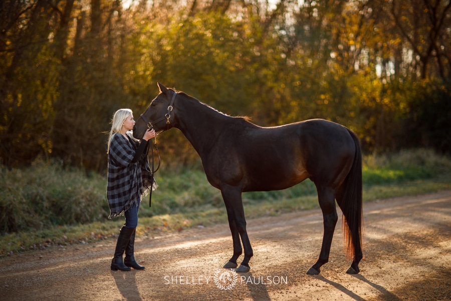 Minnesota Equine Portrait Photographer