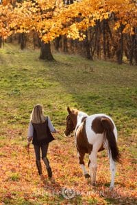 Minnesota Equine Portrait Photographer