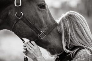 Minnesota Equine Portrait Photographer