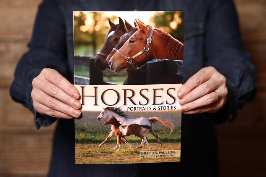 Announcing my New Book – Horses, Portraits & Stories!