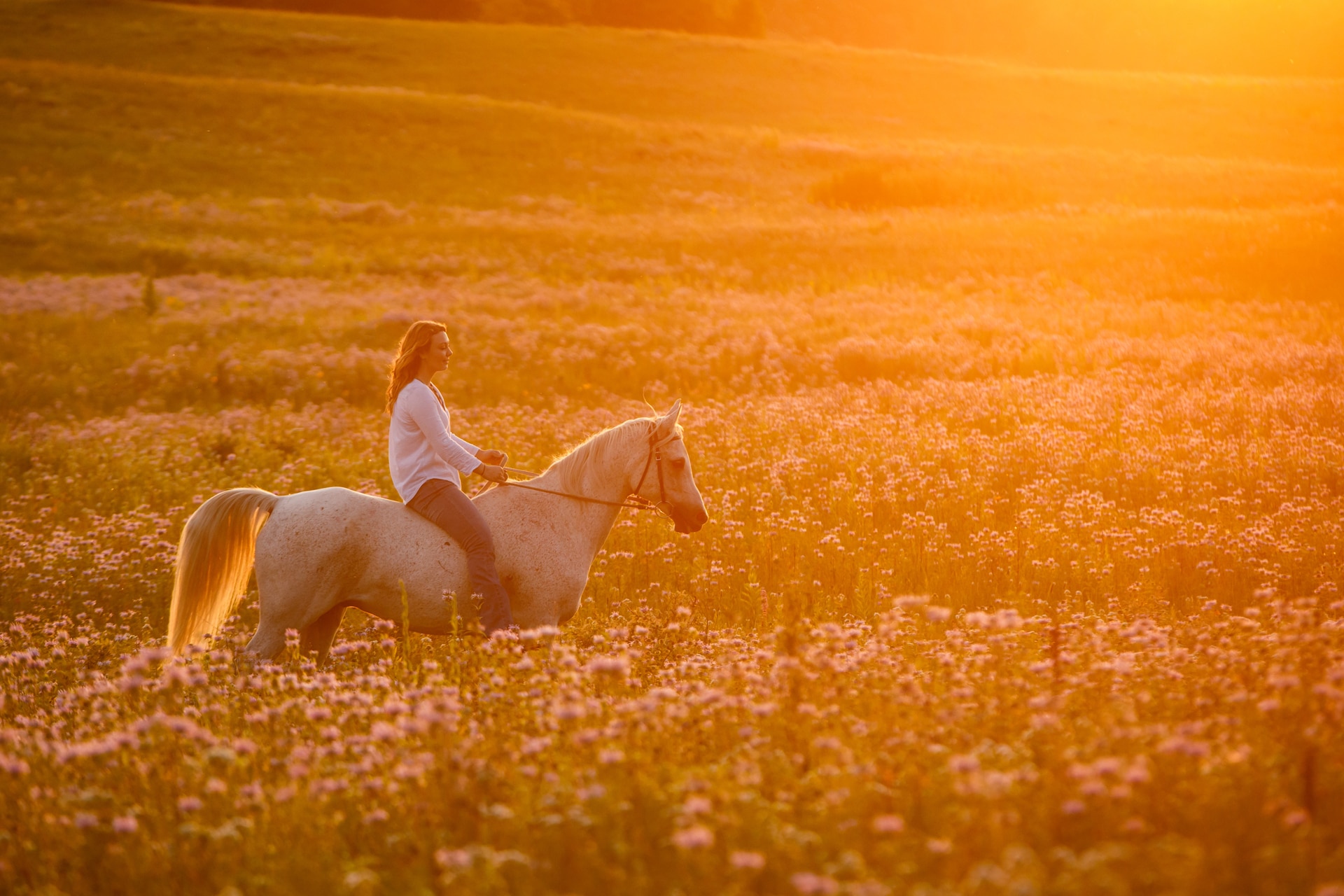 Amelia and her Horse Keno